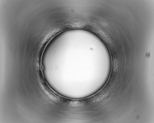 X0000093360634200711011208