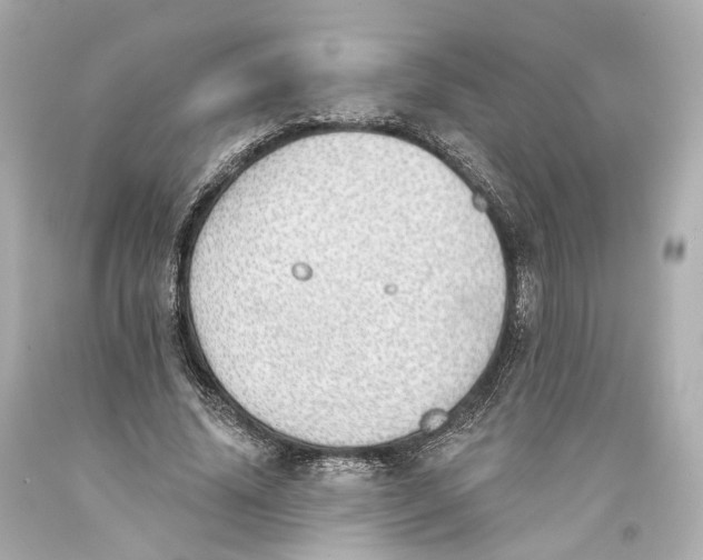 X0000093360636200711011208