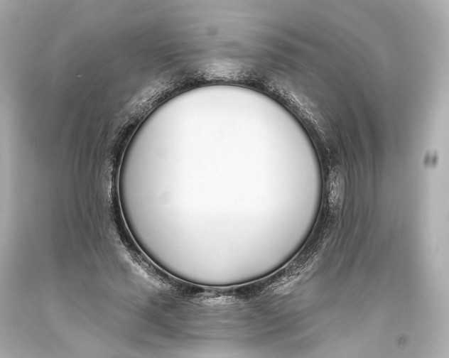 X0000093360637200711011208