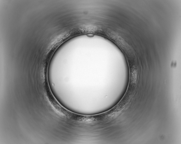 X0000093360638200711011208