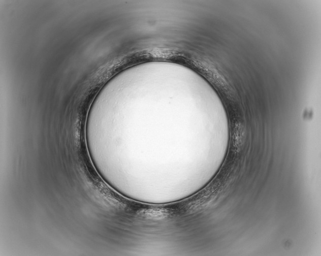 X0000093360639200711011208