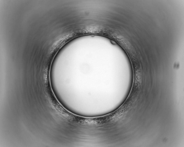 X0000093360640200711011208