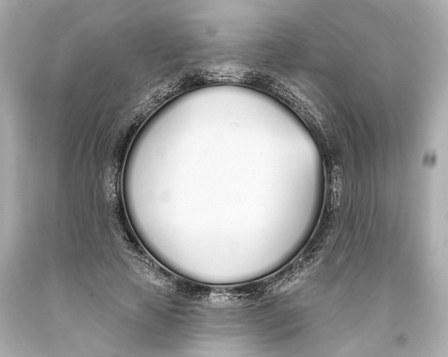 X0000093360641200711011208