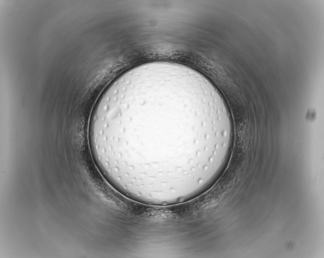 X0000093360642200711011208