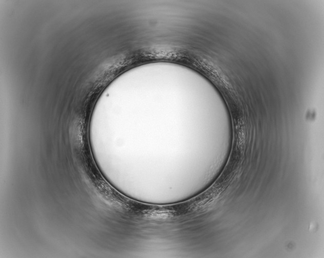 X0000093360643200711011208