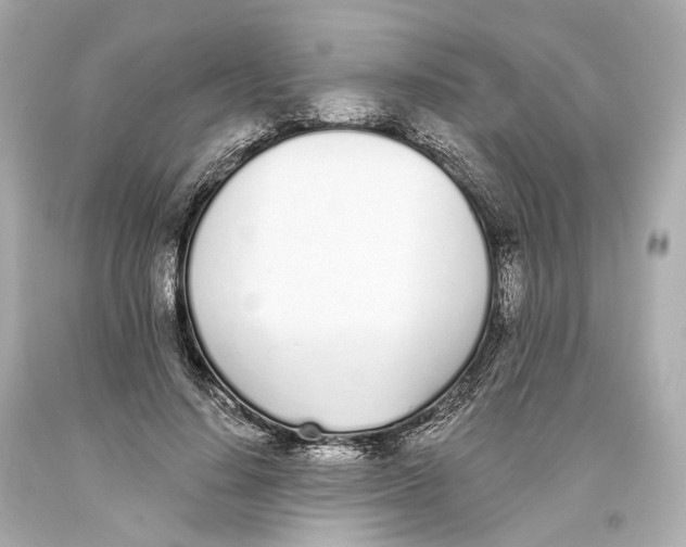 X0000093360644200711011208