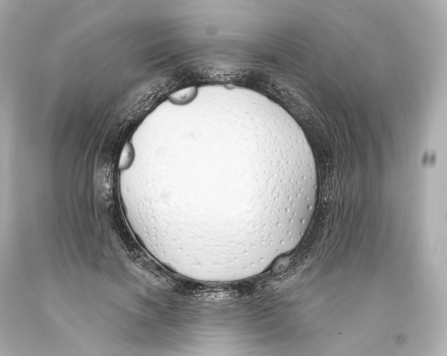 X0000093360646200711011208