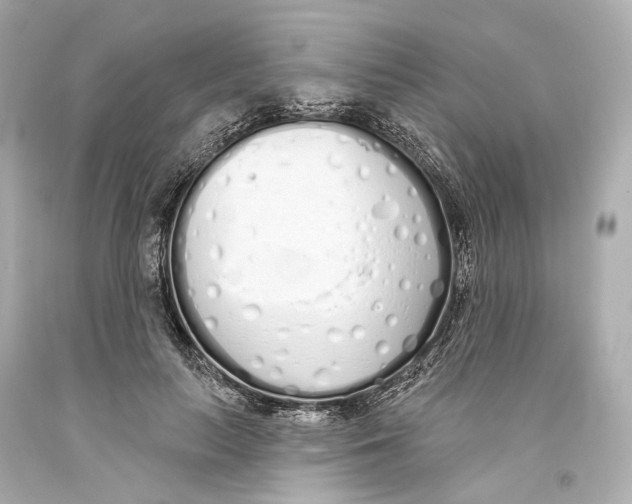 X0000093360647200711011208