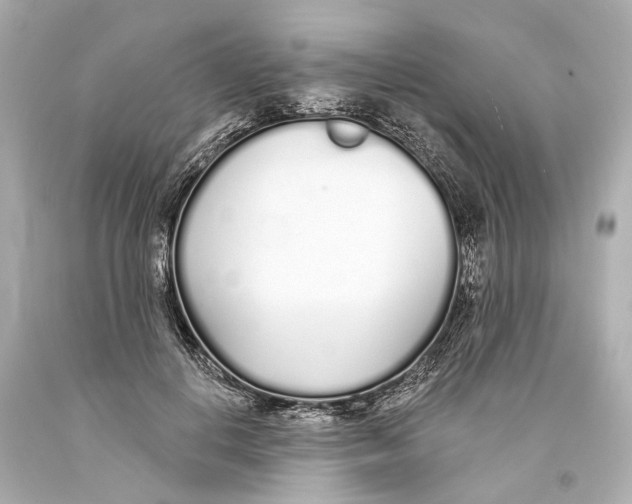 X0000093360648200711011208