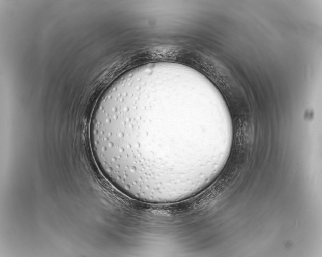 X0000093360649200711011208