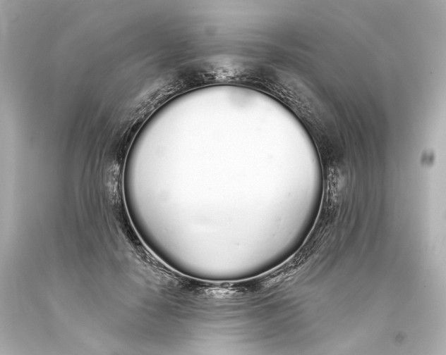 X0000093360650200711011208