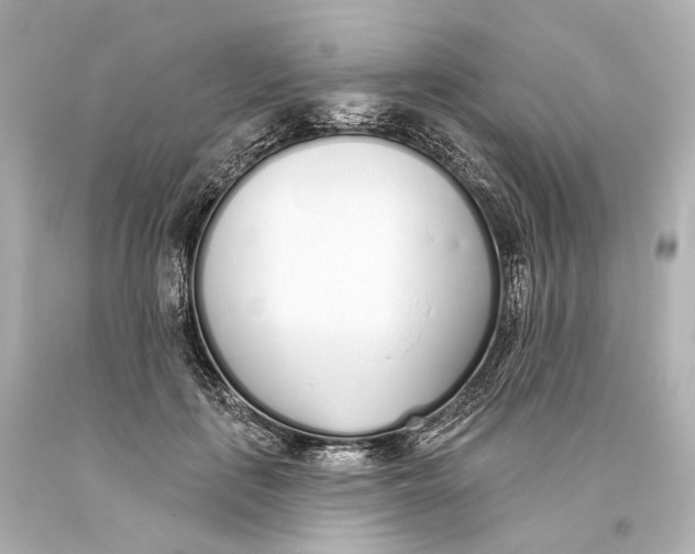 X0000093360651200711011208