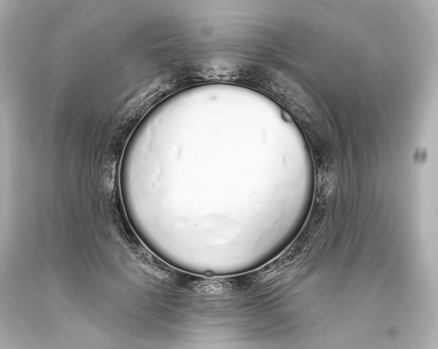 X0000093360652200711011208