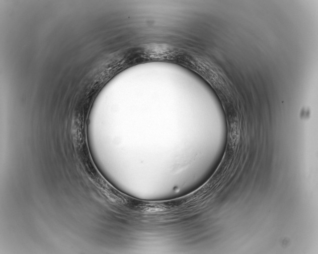 X0000093360653200711011208