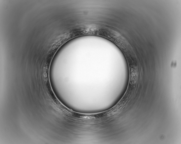 X0000093360654200711011208