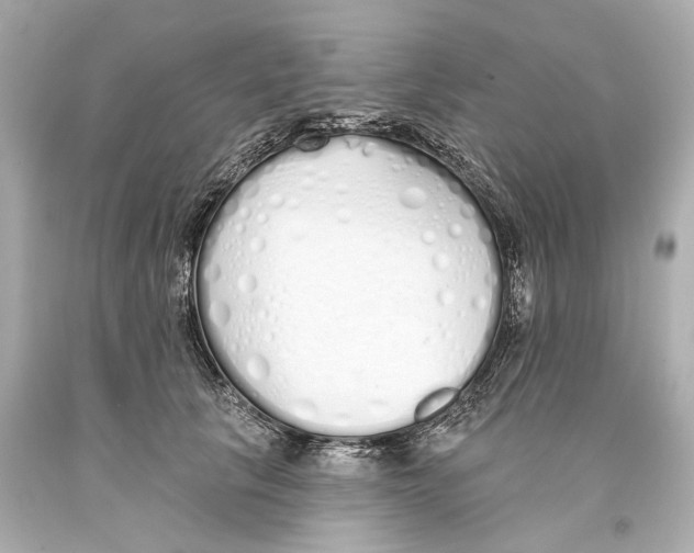 X0000093360657200711011209