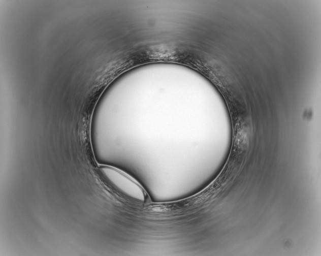 X0000093360658200711011209