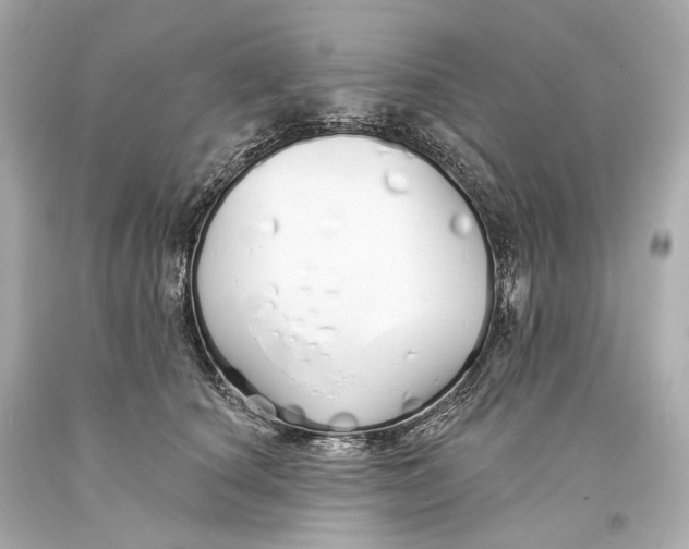 X0000093360660200711011209