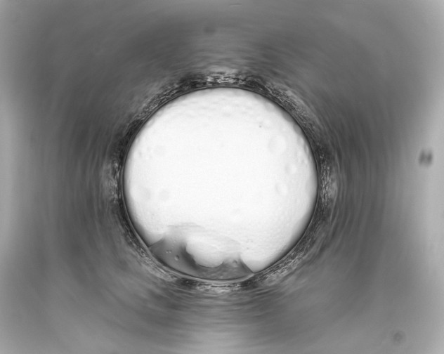 X0000093360661200711011209