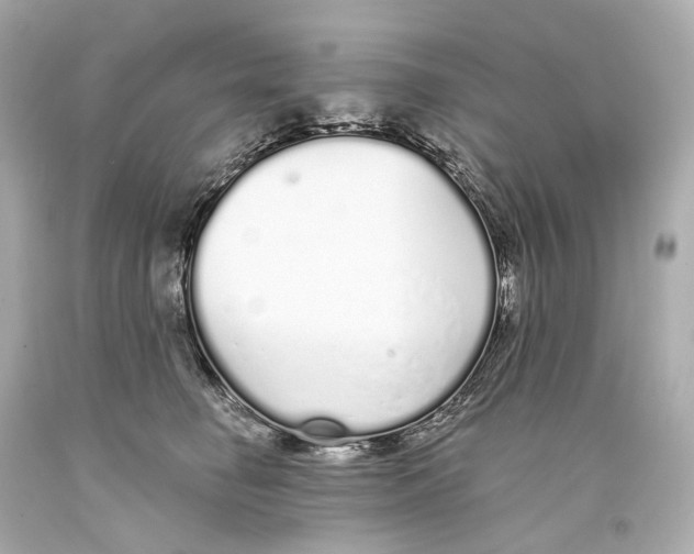 X0000093360662200711011209