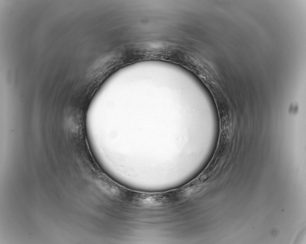 X0000093360663200711011209