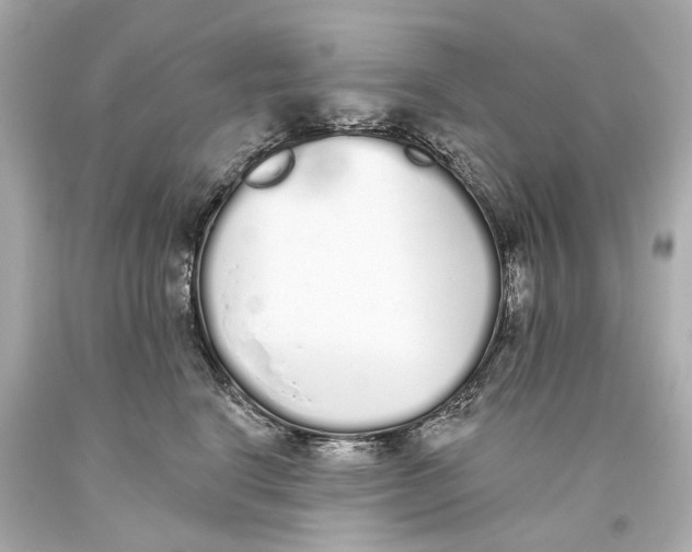 X0000093360664200711011209