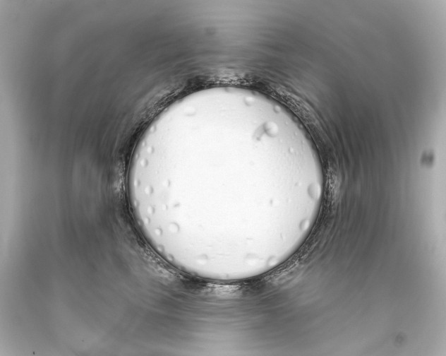 X0000093360665200711011209