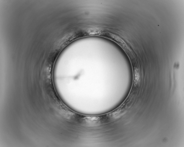 X0000093360667200711011209