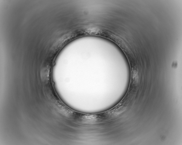 X0000093360668200711011209