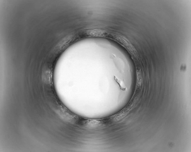 X0000093360669200711011209