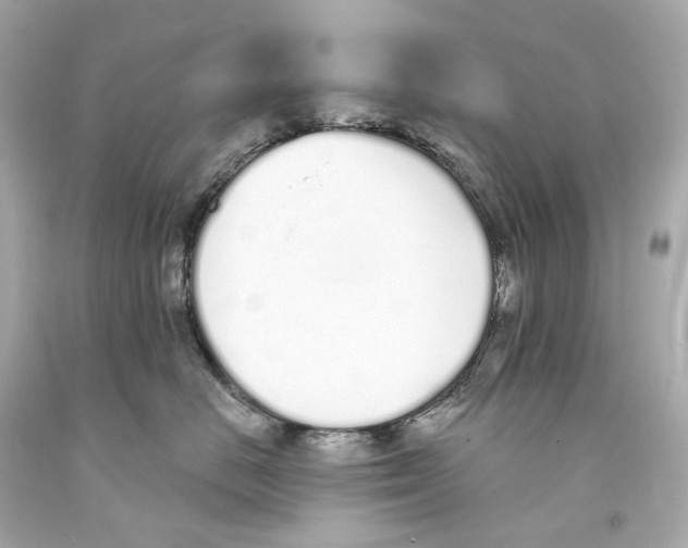 X0000093360670200711011209