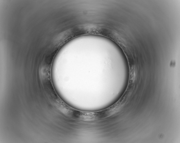 X0000093360671200711011209