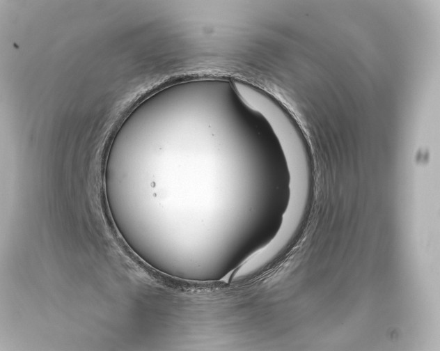 X0000093360673200711011208