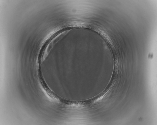 X0000093360674200711011208