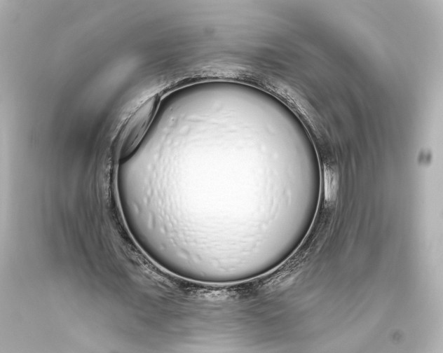 X0000093360675200711011208