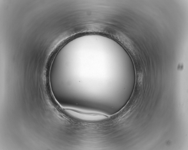 X0000093360676200711011208