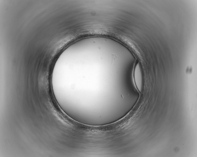 X0000093360677200711011208