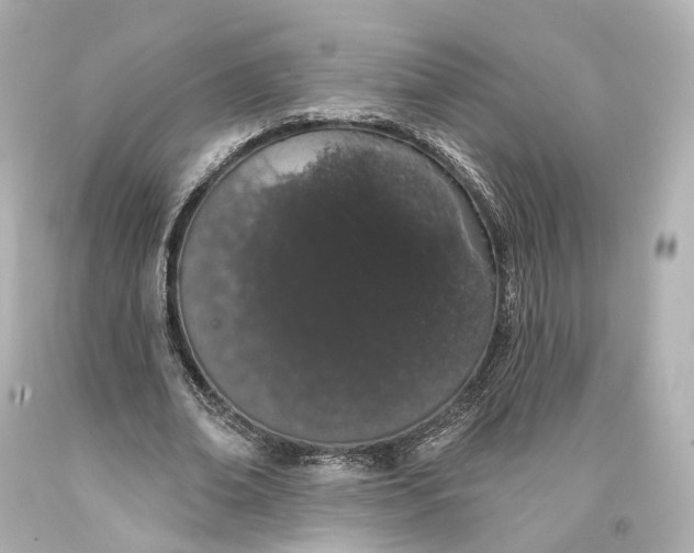 X0000093360678200711011208