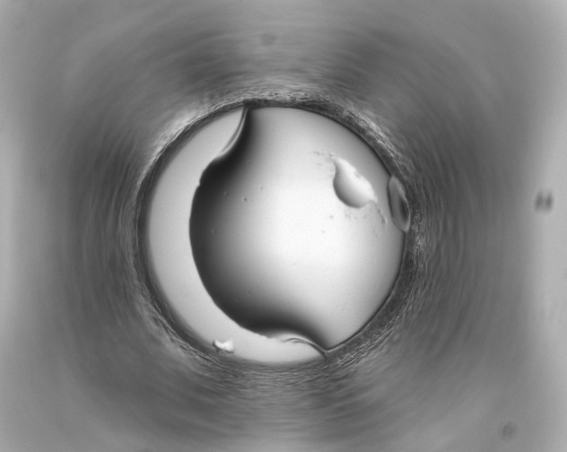 X0000093360679200711011208