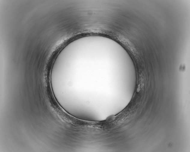 X0000093360680200711011208