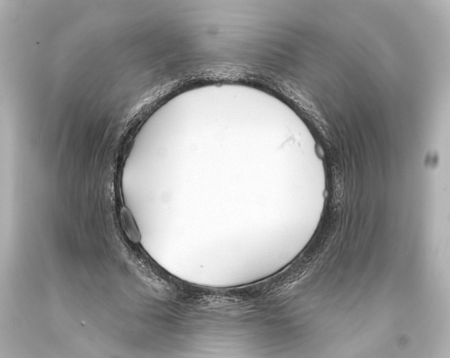 X0000093360681200711011208