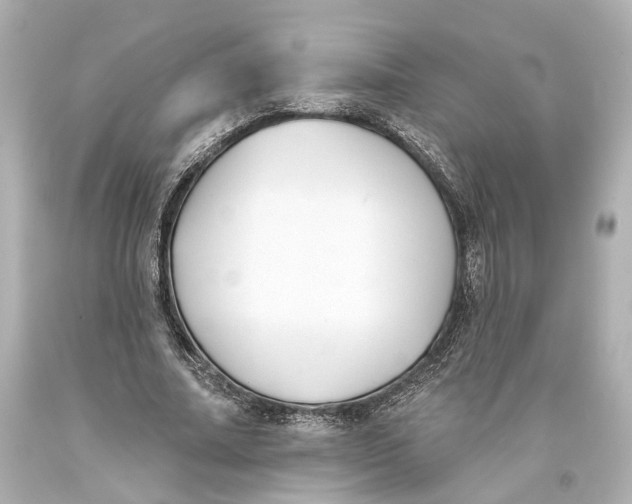 X0000093360682200711011208