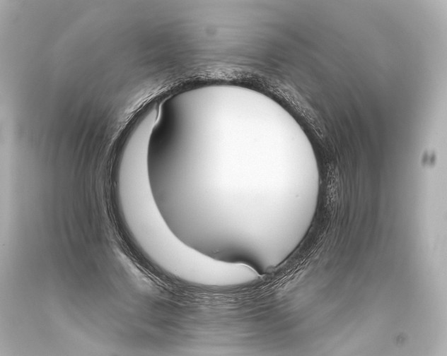 X0000093360683200711011208