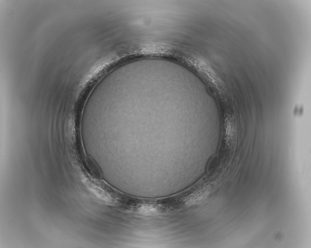 X0000093360684200711011208