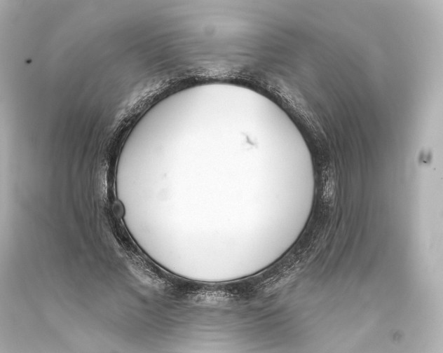 X0000093360685200711011208