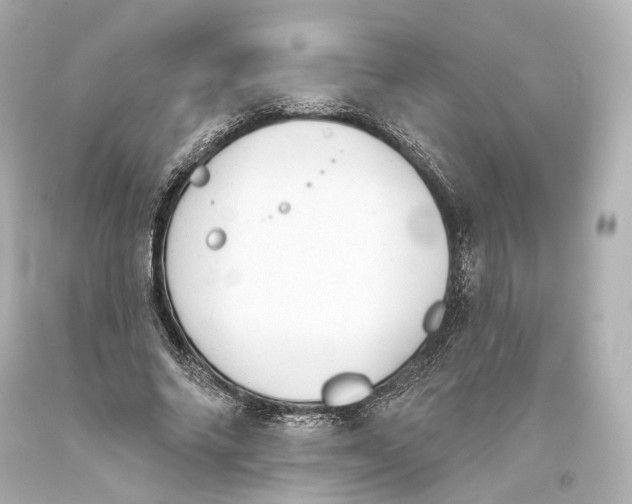 X0000093360686200711011208