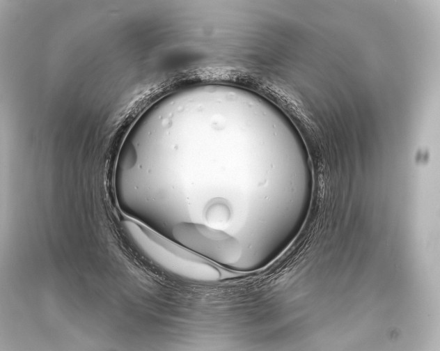 X0000093360687200711011208