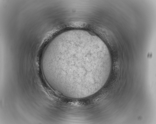 X0000093360688200711011208