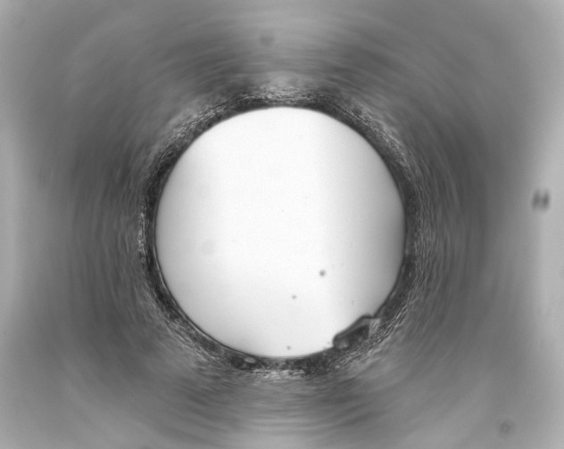 X0000093360689200711011208