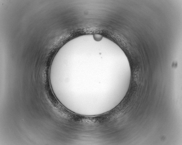 X0000093360690200711011208